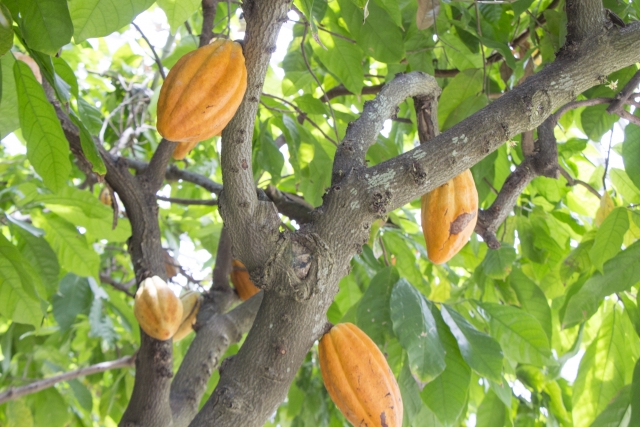 マチルダは小さな大天才